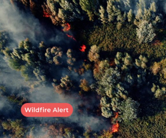 Can AI Be the Solution to the Much-Debated Climate Change Issue 3 chooch wildfire alert