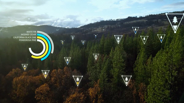 Can AI Be the Solution to the Much-Debated Climate Change Issue 2 silviaterra