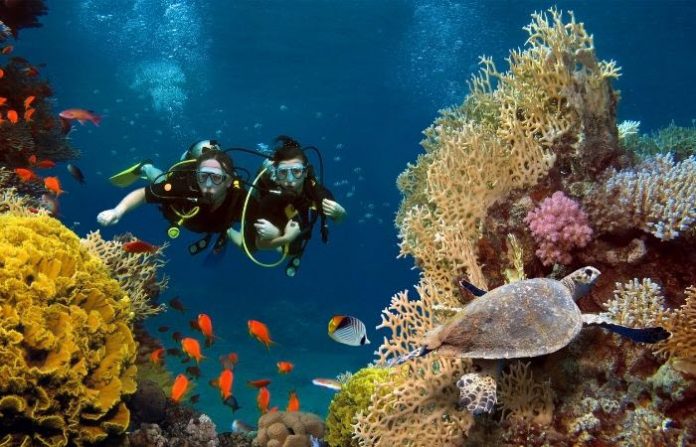 best water activities for couples best water activities for couples