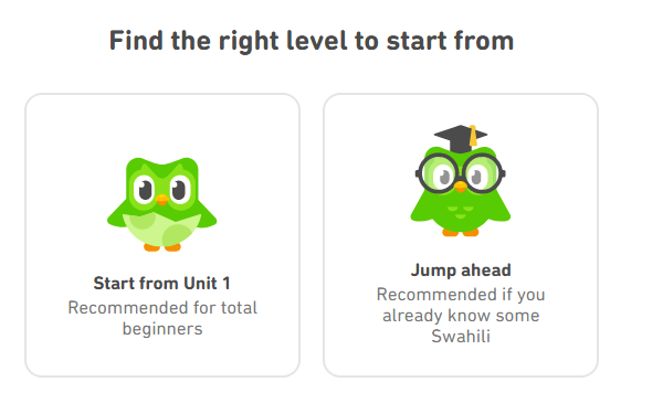 getting started with duolingo