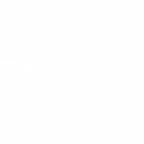  10 Steps to Writing the Best White Paper Format