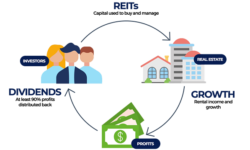 Investing in REITs