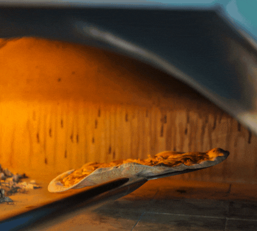  What Makes Igneus Bambino Pizza Oven Great?