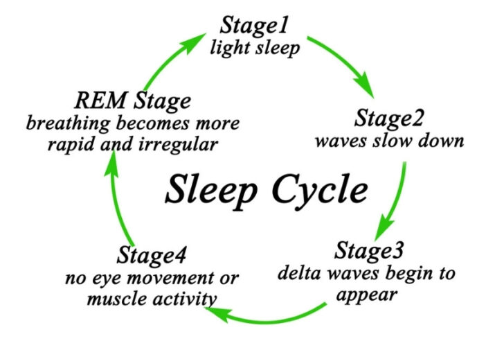 When you sleep you go through different stages