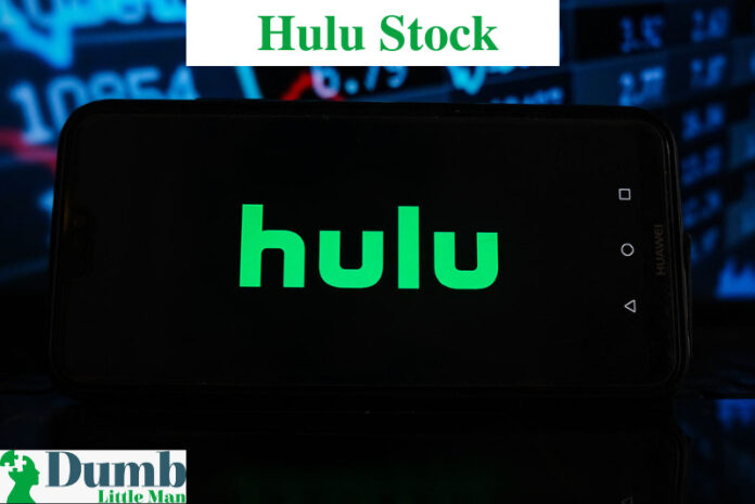 Hulu Stock
