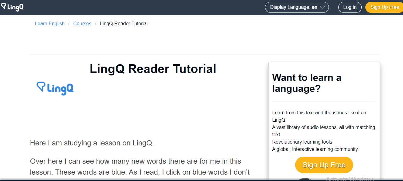 LingQ Review • The Best Analysis Of The App • Dumb Little Man