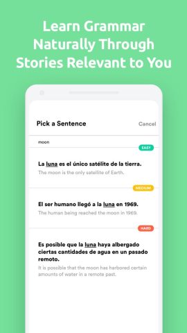 Fluent Forever App Review