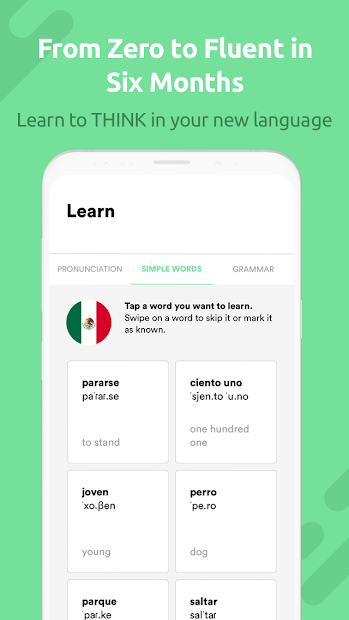 Fluent Forever App Review