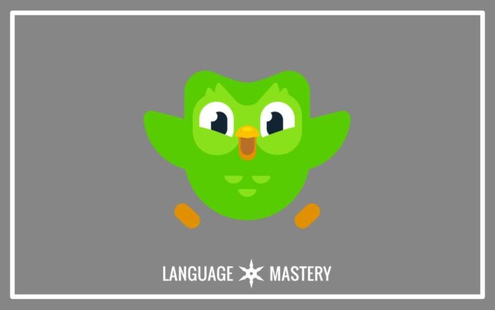 Duolingo Review