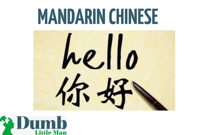 Mandarin Chinese