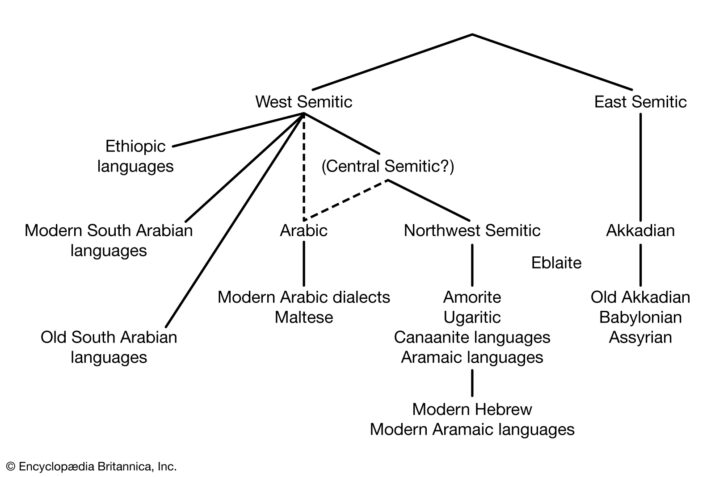 Arabic