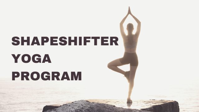 ShapeShifter Yoga Review