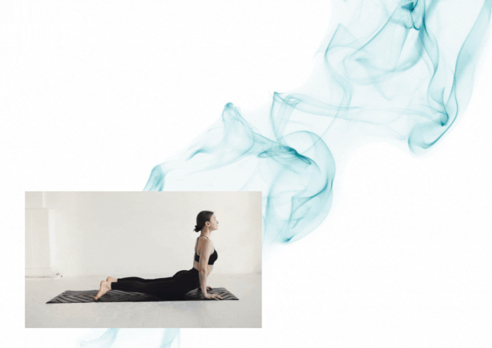 Shapeshifter yoga Review ShapeShifter Yoga Review