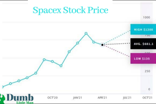  SpaceX Stock Price
