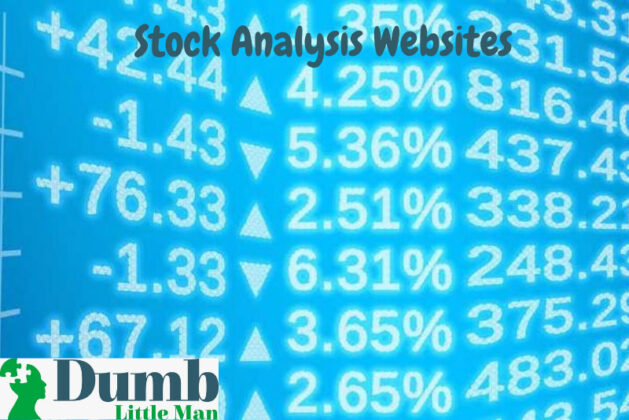 15 Best Stock Analysis Websites For All [2026]! • Dumb Little Man