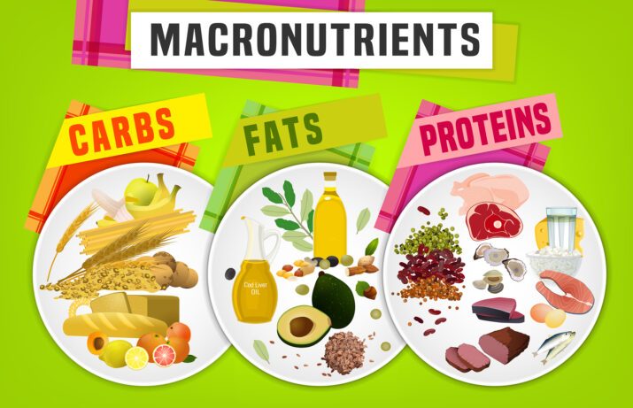 What are Macronutrients?