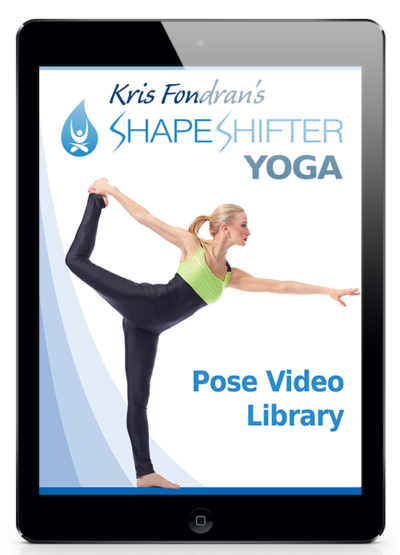ShapeShifter Yoga Review