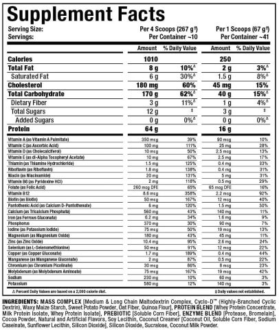 Best Mass Gainers