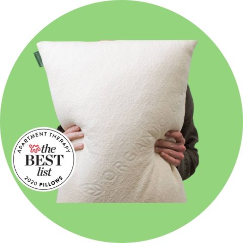 best pillow for neck pain