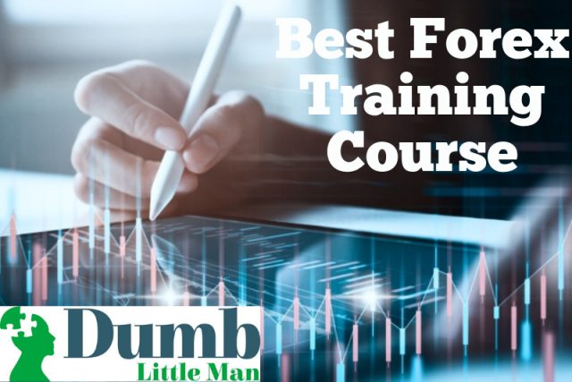  Best Forex Training Course: 7 Top Ones Tested