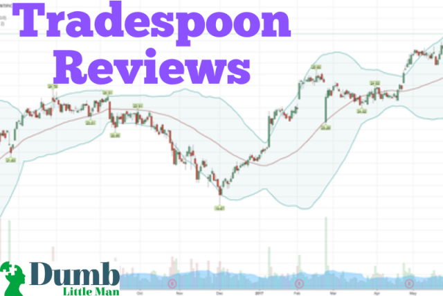  Tradespoon Reviews: Is It Beneficial?