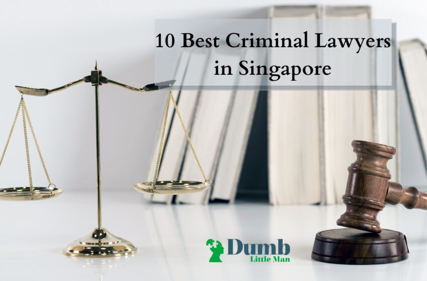  10 Best Criminal Lawyers in Singapore