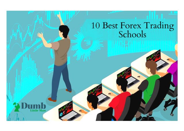 10 Best Forex Trading Schools • 2021 • Dumb Little Man