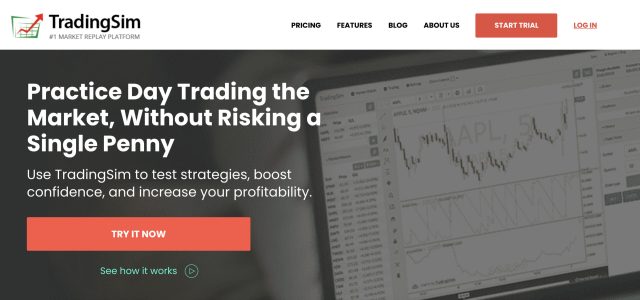 TradingSim Review