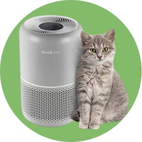 Best Air Purifier