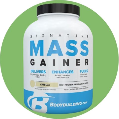 Best Mass Gainers