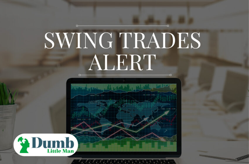  9 Swing Trade Alerts With High Performance In 2022!