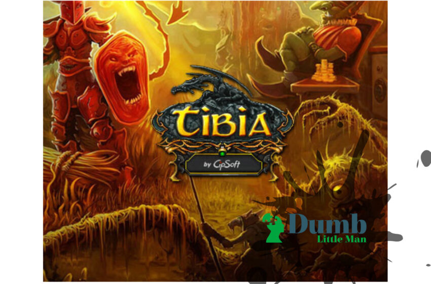What is the Game – Tibia?