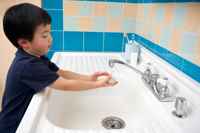 Make Sure your Hands are Clean Before and After Brushing.