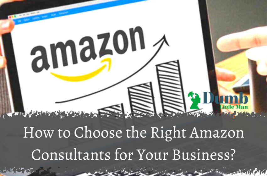  How to Choose the Right Amazon Consultants for Your Business?
