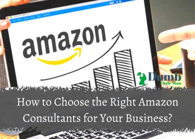 How to Choose the Right Amazon Consultants for Your Business?