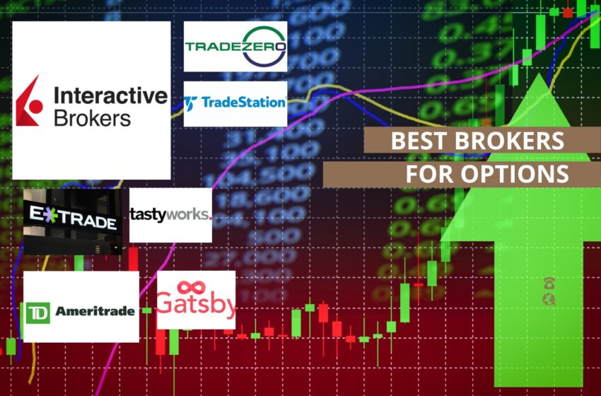  7 Best Online Brokers for Options: Top Brokers for Options Review of 2022