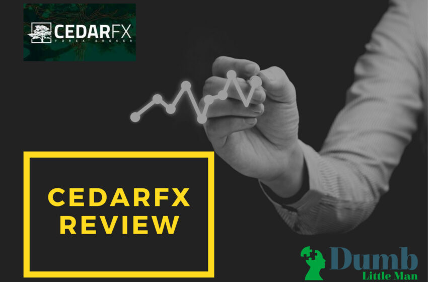  CedarFX Review: Is it the Best for Social Traders in 2022?