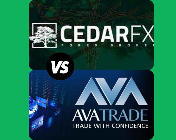 CedarFX Review