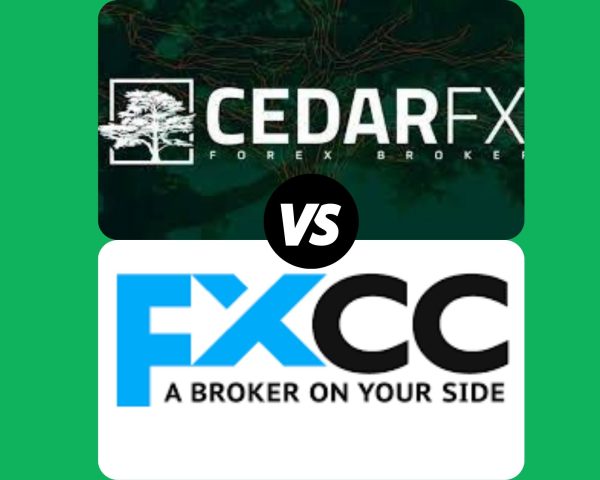CedarFX Review