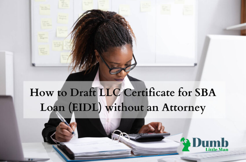  How to Draft LLC Certificate for SBA Loan (EIDL) without an Attorney