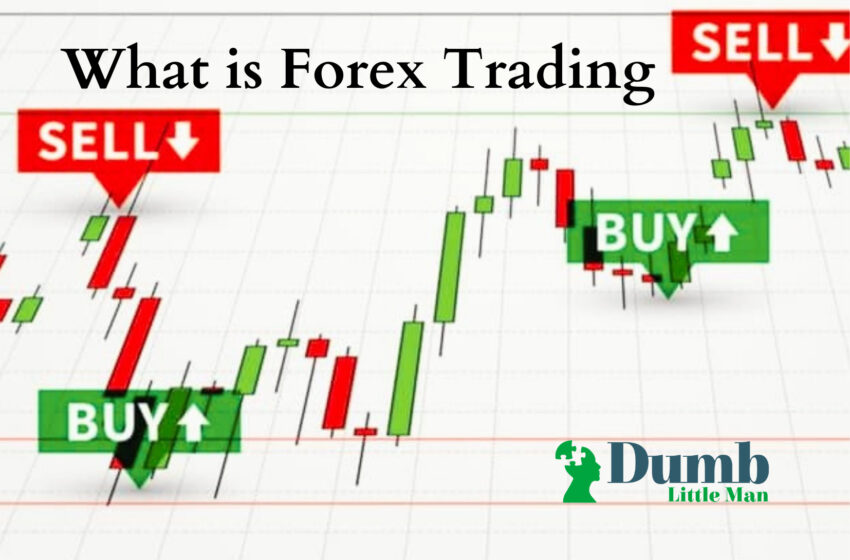 What is Forex Trading