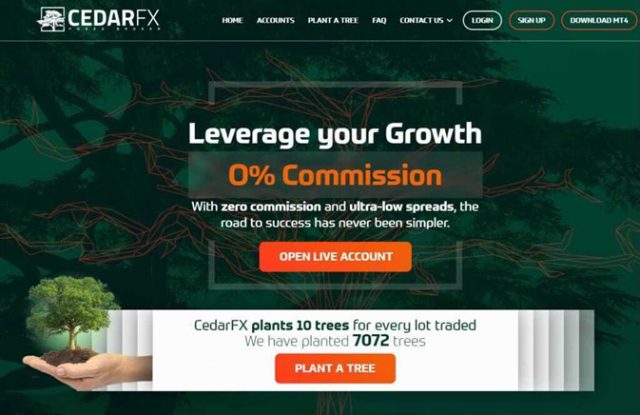 CedarFX Review