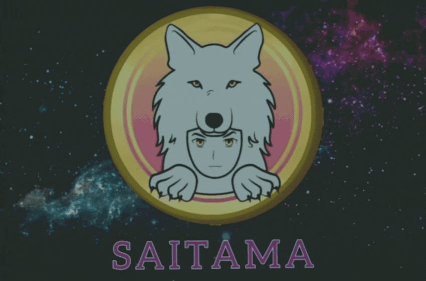  How to Buy Saitama Inu? Step by Step Guide to Buy (SAITAMA)