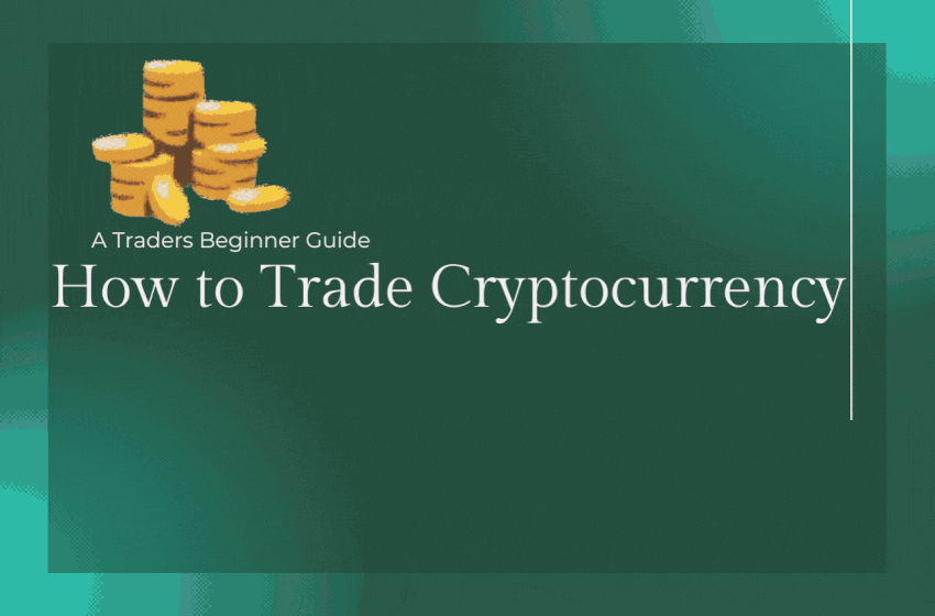  How to Trade Cryptocurrency? A Traders Beginners Guide 2022