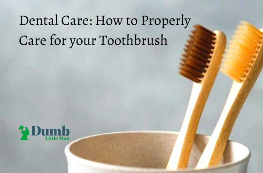  Dental Care: How to Properly Care for your Toothbrush