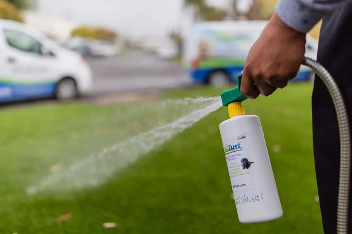 How to Remove Bacteria from Synthetic Grass?