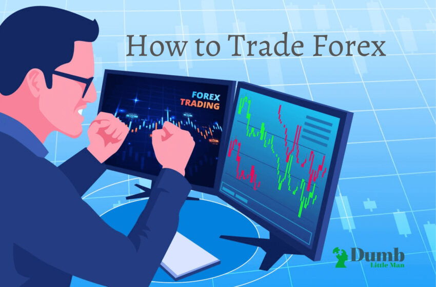 I trade on the forex exchange