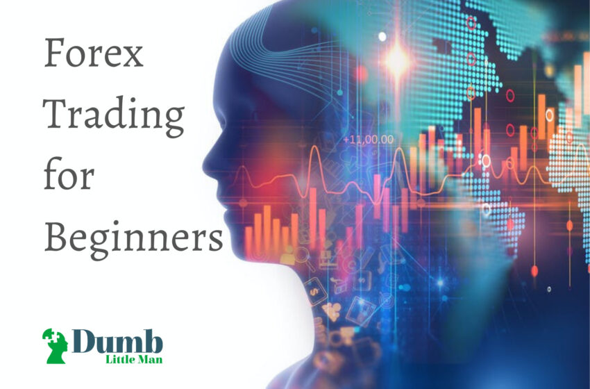  Forex Trading for Beginners • Step by Step