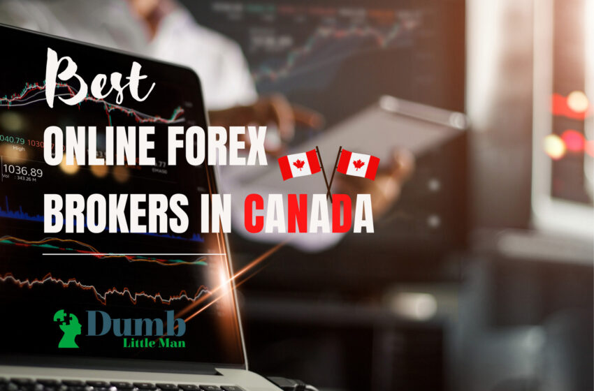  3 Best Online Forex Brokers in Canada – In Depth Review 2022
