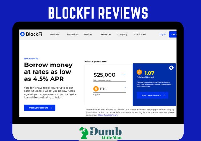 blockfi loan review